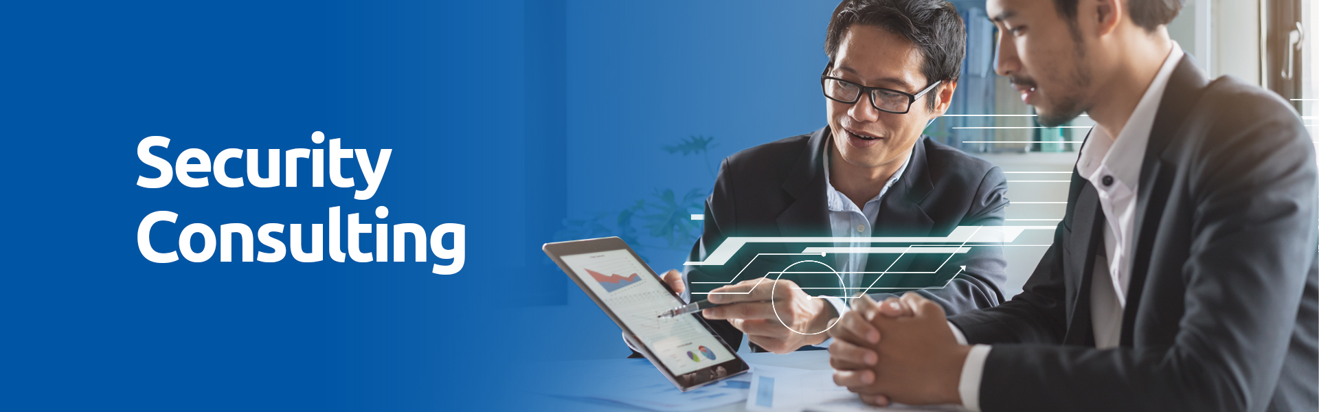 Security Consulting