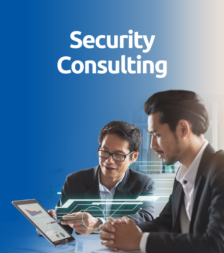 Security Consulting